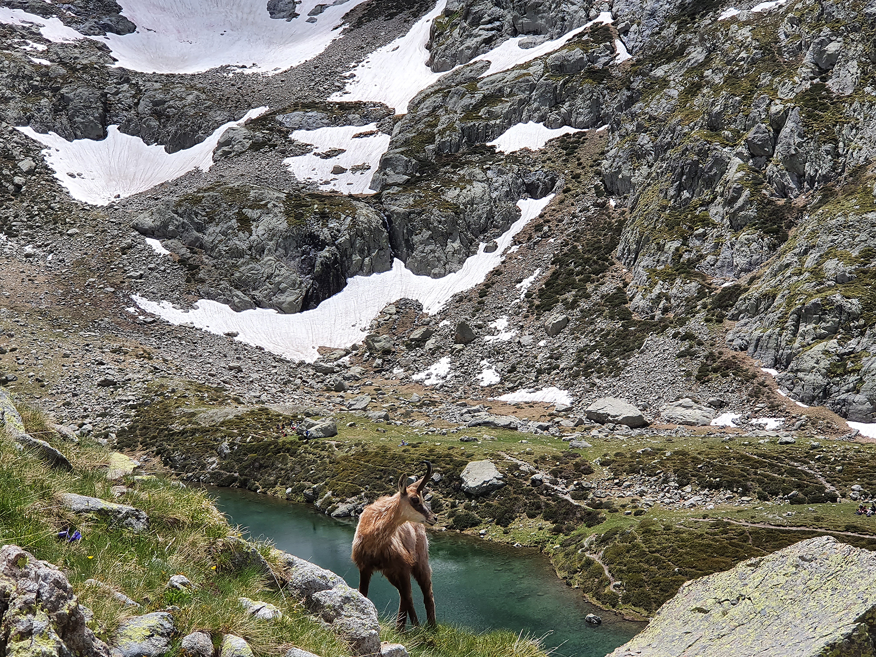 Favoriser la cohabitation Homme - faune sauvage